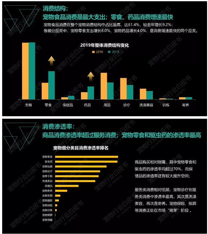 图片[2]-《2019年中国宠物行业白皮书 消费报告》-中国宠物网
