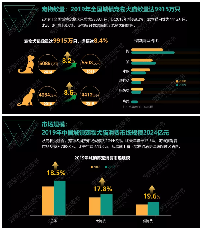 图片[3]-《2019年中国宠物行业白皮书 消费报告》-中国宠物网