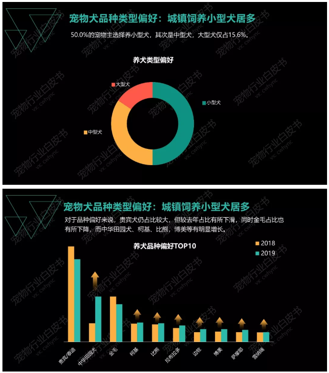 图片[8]-《2019年中国宠物行业白皮书 消费报告》-中国宠物网