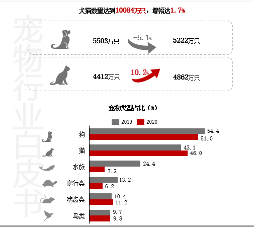 图片[4]-2021年，小宠市场是怎样的现状？-中国宠物网